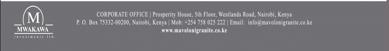 Footer Logo
